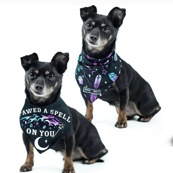 Rogue + Wolf Other - Rogue + Wolf ✦ Reversible Pet Bandana ✦ “I Pawed A Spell On You” w/ Crystal